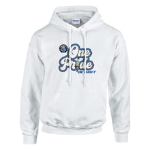 Load image into Gallery viewer, Detroit Fresh Deli Lions One Pride Unisex Hoodie | Casual Graphic Hoodie | Trendy Unisex Pullover | Comfortable Everyday Hoodie | Sporty Streetwear Hoodie
